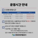 통영 디피랑 야경｜야간 관광 필수 코스, 환상적인 빛의 산책길