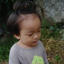 화신월드 이미지