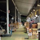 만월청과 이미지