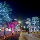 족쌈소문났네 이미지