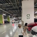 지음태권도 | 짧은 가을살이