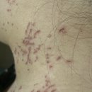 봉암중앙의원 이미지