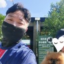 리버 | 대구 현풍 애견카페 강아지카페 멍리버 내돈내산 후기