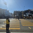 죽림초등학교 | 죽림초 하교길에 만난 책나무 - 홍보 방문 후기