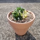 포리아틀리에