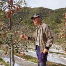 청담 관광농원 이미지