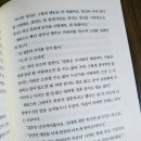 완벽한여자 이미지