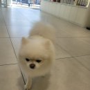 해랑동물병원 이미지