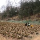 터골농장 이미지