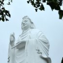 비밀의 사원 이미지