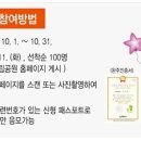 다한투어 이미지