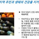 아메리카아카데미 이미지
