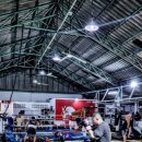 태장청학복싱&무에타이 이미지