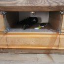 구림산책길 이미지