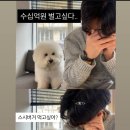 먹고또먹고 이미지