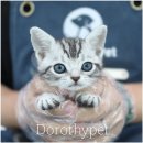 몽글몽글 이미지