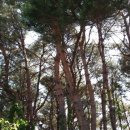 설천면124 이미지