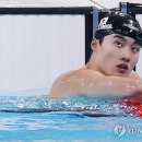 갈팡질팡 이미지