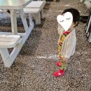 주구장창 | 던스스웨덴 순무 코디 사이즈 추천_68부터 92까지 주구장창 입혀본 던스스웨덴 후기