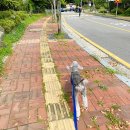 임프로동물병원 이미지