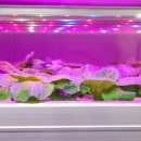 동이농장 이미지