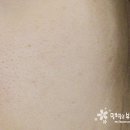 플로망 이미지