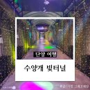 선사유적로 | [단양 여행] 수양개 빛터널, 수양개 선사유물관, 이끼터널, 소노벨 단양 오션플레이 후기