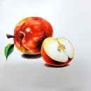 수채화 중급 이미지