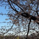 송정둑길 이미지