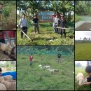 야곱목장 이미지