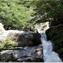 소금강주유소 이미지