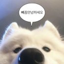 프레이즈음악학원 - 관악구 관악로37길 15 | 프레이즈음악학원