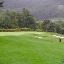 세이지우드 CC 홍천 이미지