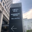 삼우오펠리스 | [W.hall1]시청 오펠리스 솔직 후기