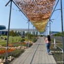 광주시견인차량보관소 이미지