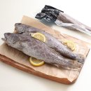 푸릇푸릇 이미지