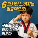 신성태권도 - 강서구 등촌로 163 | 신성태권도