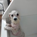 오구오구살롱 이미지