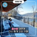 투썸플레이스 충북증평점 | 증평 벨포레 리조트 호수 뷰 카페, 투썸플레이스
