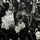 협성대학교 일반대학원 이미지