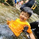 무지개독 이미지