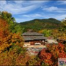 아라리촌 카페 이미지