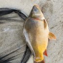 덕우낚시터 이미지