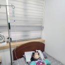 김상후이비인후과의원 | 어린이 A형 독감 검사, 학교 출석인정처리(안산 독감 수액 가능 병원)