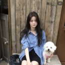 modo 이미지