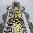 막곡리 복주병원 이미지