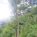 산막이옛길 대형주차장 이미지