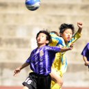 광일초등학교 이미지