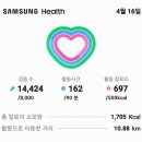 회룡포마을걷기운동홍산마늘흰빛잎마름병녹병약사전방제를 14,424보10.92km 이미지