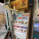 대진항막회 이미지